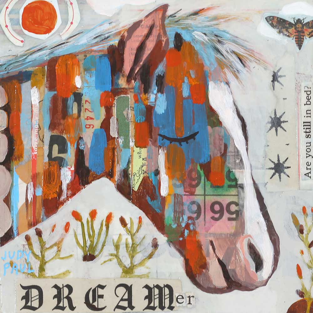 Dreamer Horse