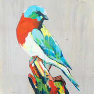 Spirit Blue Bird