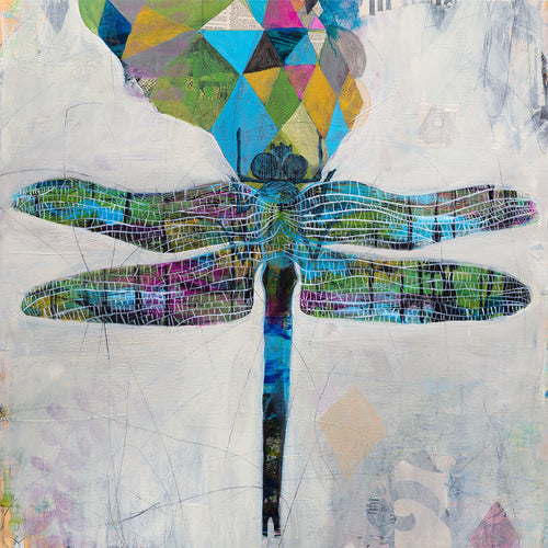 Black Diamond Dragonfly
