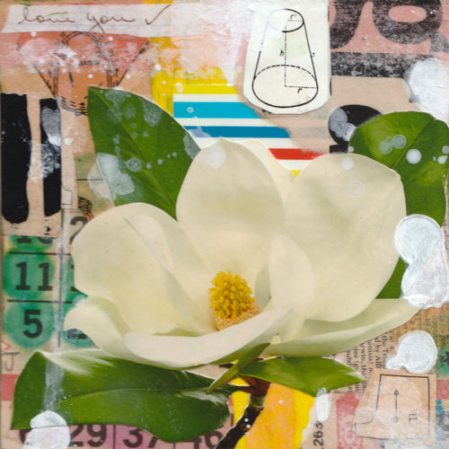 Magnolia 48