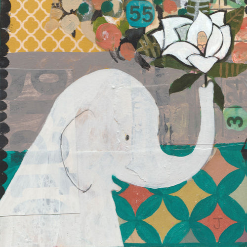 Magnolia 55