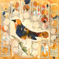Beltway Bird 1