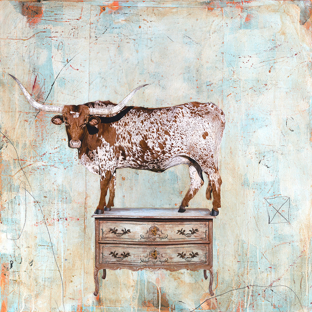 Animals and Antiques Longhorn