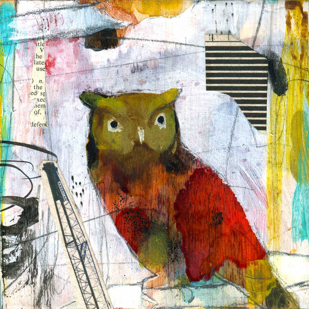 Progress Owl 6
