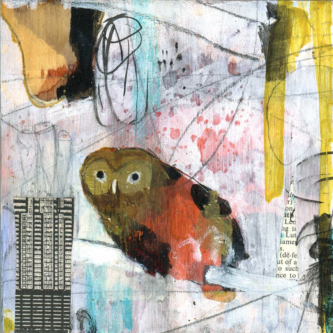 Progress Owl 5