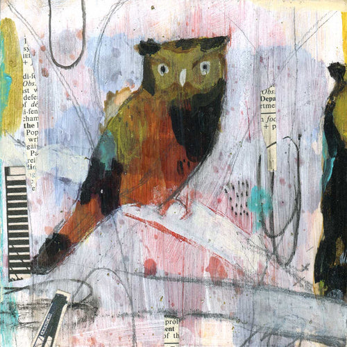 Progress Owl 1