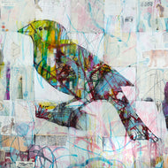 Krink Bird